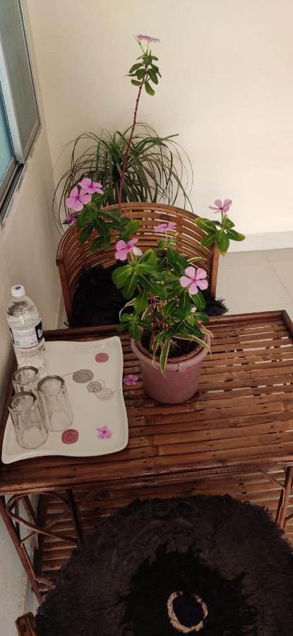 Apartamento Untrained & Unplanned Jabalpur Exterior foto